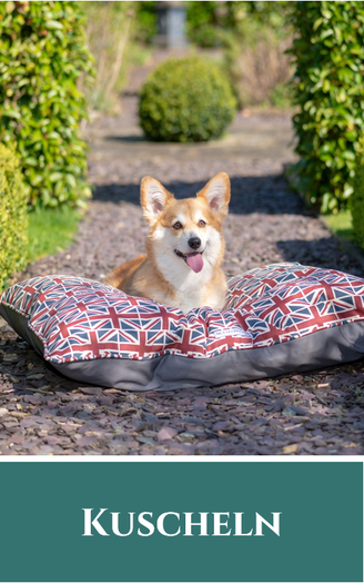 Hundekissen; Hundedecke; Hundebett
