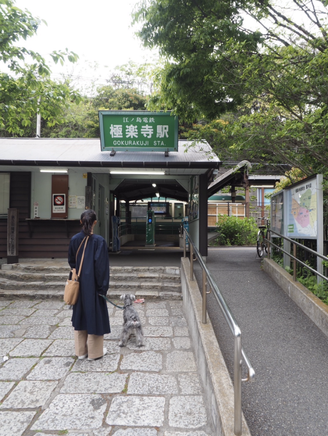 鎌倉ロケ地巡り