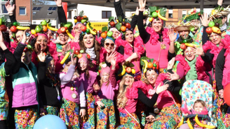Alle Rosenmontagskostüme