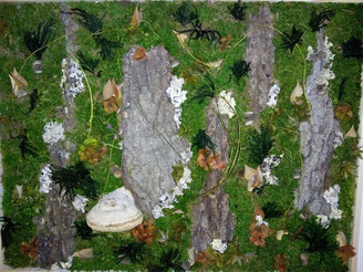 tableau végétal champignon