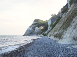 Typischer Steinstrand an der Steilküste von Møns Klint, die jetzt zum Unesco-Welterbe gehört. Foto: Christoph Schumann