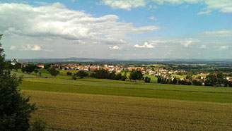 © Traudi