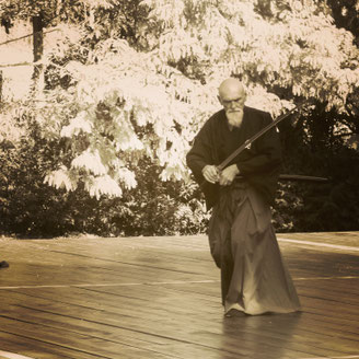 sensei maharishi sathyananda fondatore del metodo utilizzato del dojo