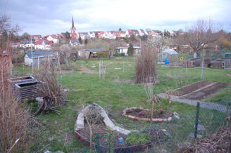 Garten 118 im Frühjahr - Foto Suse Engel