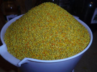 Blütenpollen aus Maria Schmolln