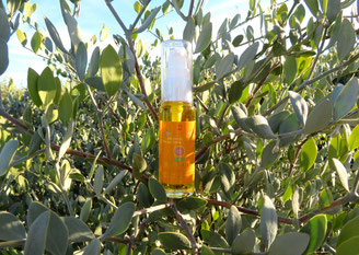 ♔ CLASSIC JOJOBA OIL "JOJOGOLD"