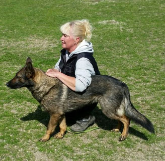 Meine Püppi, mein Sturkopf, meine Bila und meine Wenigkeit haben gestern die RH1 bestanden. Das Vertrauen, die Geduld mit ihr haben sich gelohnt. Ich bin stolz auf meine Püppi und freue mich darüber !