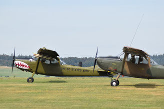 The Bird Dogs were rather present at the Classic Cessna Meeting 2016 (Photo: Jessica Zimpel-Nonn)