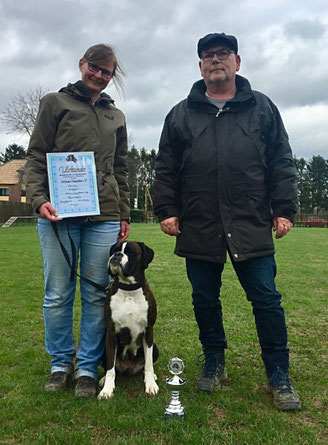 Karla Begleithundeprüfung Boxer Hund vonderwaldnielerheide 