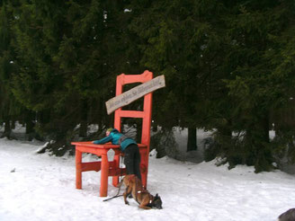 Dogtrekking Dogtrekking Dogtrekking Elbsandstein-Dogtrekking ESDT Harz-Dogtrekking