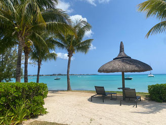 revente appartement EROK grand baie Île Maurice 