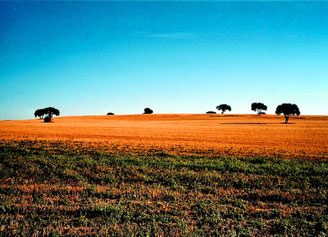  stimmungsvolle Landschaften