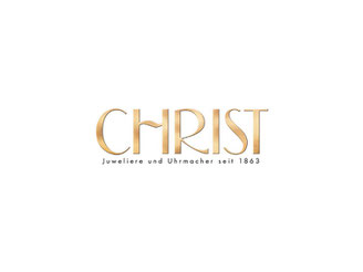 CheckEinfach | Christ Logo