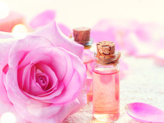 CheckEinfach | Parfum & Kosmetik