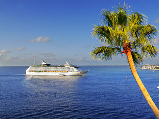 CheckEinfach | TUI Cruises - Mein Schiff