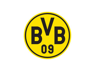 CheckEinfach | BVB Logo
