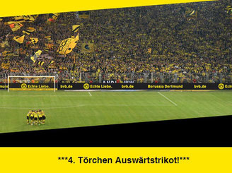CheckEinfach | BVB (Quelle: BVB)