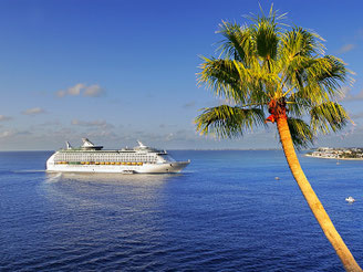 CheckEinfach | TUI Cruises - Mein Schiff