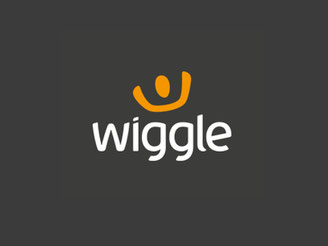 CheckEinfach | Wiggle Logo
