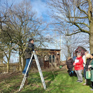 Sträucherschnitt im Garten bei Familie Wulf KLFV Stormarn