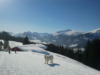 Wanderweg vom Söllereck nach Riezlern
