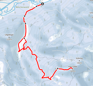 Hohe Scheibe, Skitour, Gosau, Salzkammergut, Schneeschuhtour, Gosaukamm