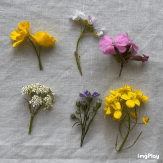 Handgemaakte ronde vaas voor kleine bloemen