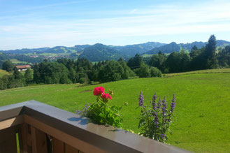 Blick ins Land vom Landhaus Kennerknecht