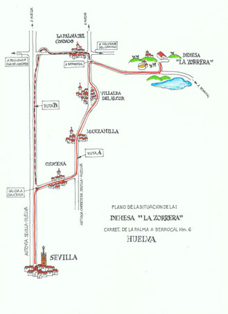 finca la palma del condado