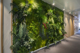 Jardines verticales de pie sin apoyo con movilidad.  Divisores de espacio en la gran sala de un hostel llena en ambas caras con varias plantas tropicales incluyendo algaonema, cintas y epipremnum