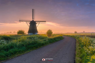 Foto van de maand: december 2022