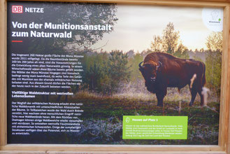 Infotafeln, Foto: ©KBenedickt