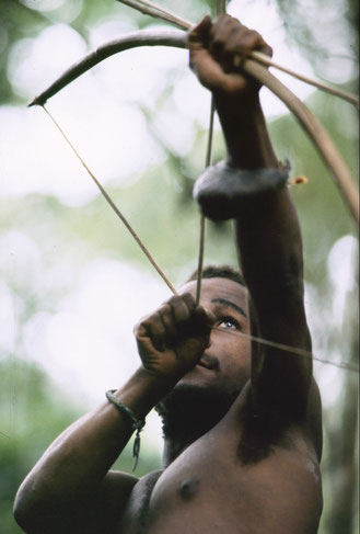 Efe pygmy hunter Okabali sights in on his prey, Ituri Forest, DRC.