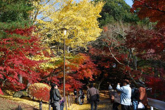 第18回 成田山公園紅葉まつり