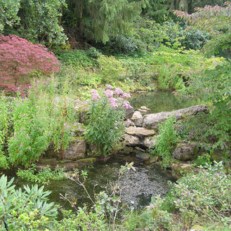 Gartengestaltung nach Feng Shui - raum und sein