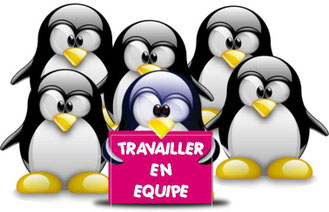 animaux travaillant en équipe