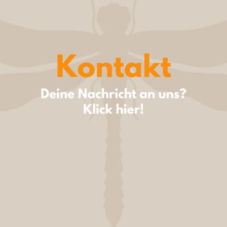 Gruppe von Menschen kommen zueinander. Die Aufschrift; In Kontak kommen!