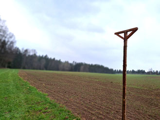 Ansitzstange am Wiesenrand