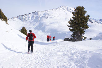 Schneeschuh Kühtai Ötztal Alm Haiming Tirol Winter