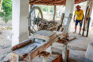maniok mühle, casa de farinha, maniok, handarbeit, landwirtschaft, mehl, ernährung sicherheit, familienbetrieb, brasilien, kulturpflanze, brasilien reisen