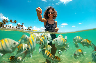 insel santo aleixo, barra de sirinhaém, fisch, schnorcheln, türkisblaues wasser, riffbarsch, fischen, korallenriff, trauminsel, brasilien, tropische insel