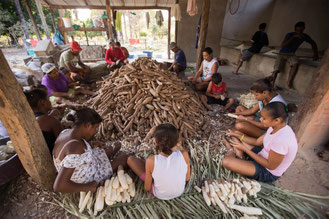 mandi, casa de farinha, maniokmühle, maniok familienbetrieb, begegnung stätte, handarbeit, landwirtschaft, glutenfree, vegan, recife, brasilien
