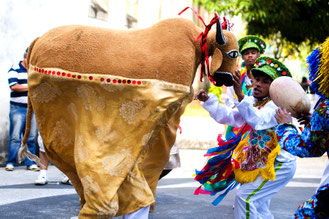 recife, brasilien, theater, show, tanz, frevo, forró, musik, streetfood, touristen infos, reise begleitung