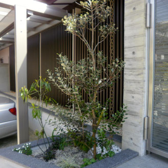 外構・お庭のタイプに合わせた植栽の樹形