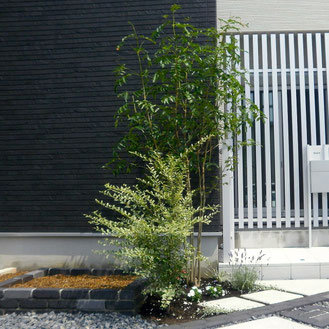 外構・お庭のタイプに合わせた植栽の樹形