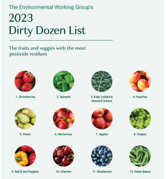 dirty dozen ernährungsberatung heinsberg