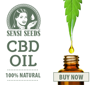 Sensi Seeds CBD Oil