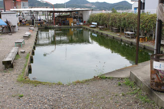 金魚釣り まるなが釣堀 愛知県犬山市の釣堀