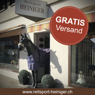 Reitsport Heiniger, Schönbühl - Blogartikel Pferdebürste Ross-Sagi