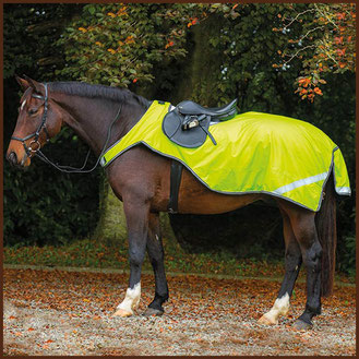 Reitsport Heiniger, Schönbühl - Blogartikel Schabracken-Set RM mit Ohrengarn